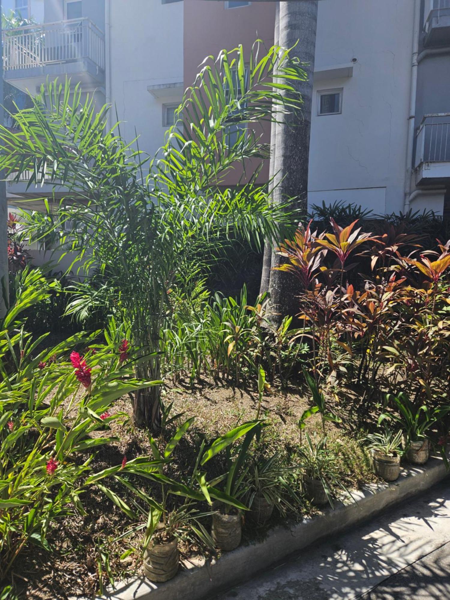 2-Bedroom Boutique City Condo - Newly Renovated! Cebu Eksteriør billede